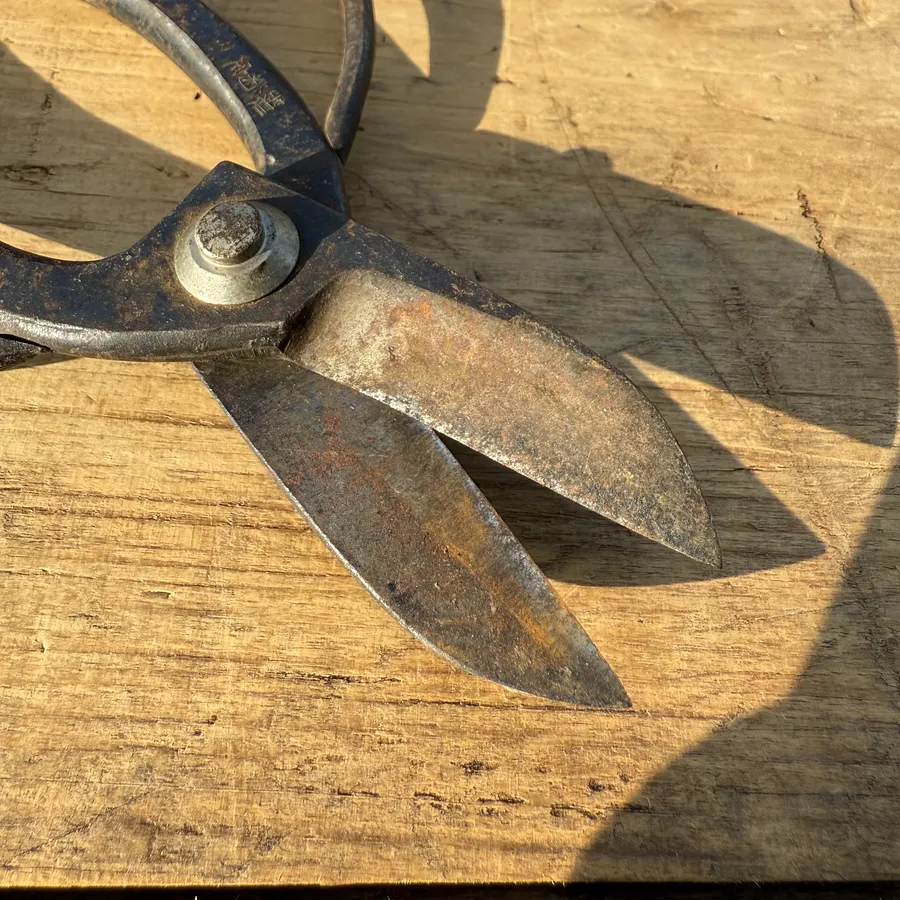 🎎 Antique Japanese garden shears - Japan Antique Roadshow Description: product image (4)