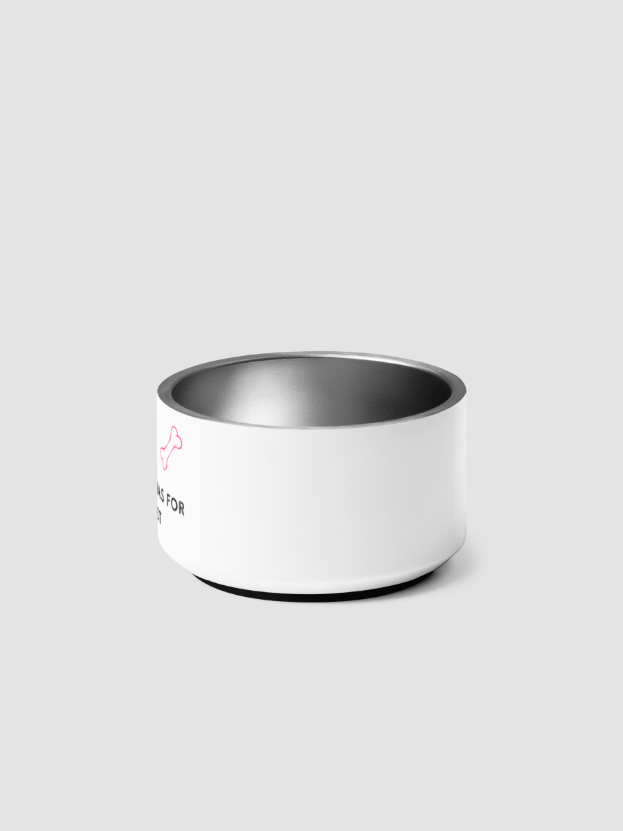 [Ashley Briana Eve] Pet Bowl product image (4)