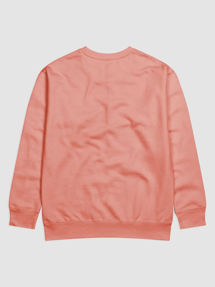POSSIBLY AUTISTIC - SWEATER product image (2)