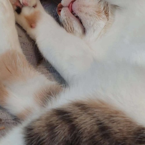 Wonders if I sleep with my tongue out too lol