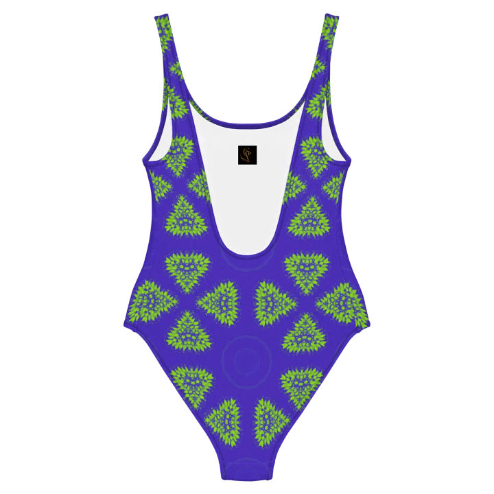 Shape Spectrum Swimsuit product image (2)