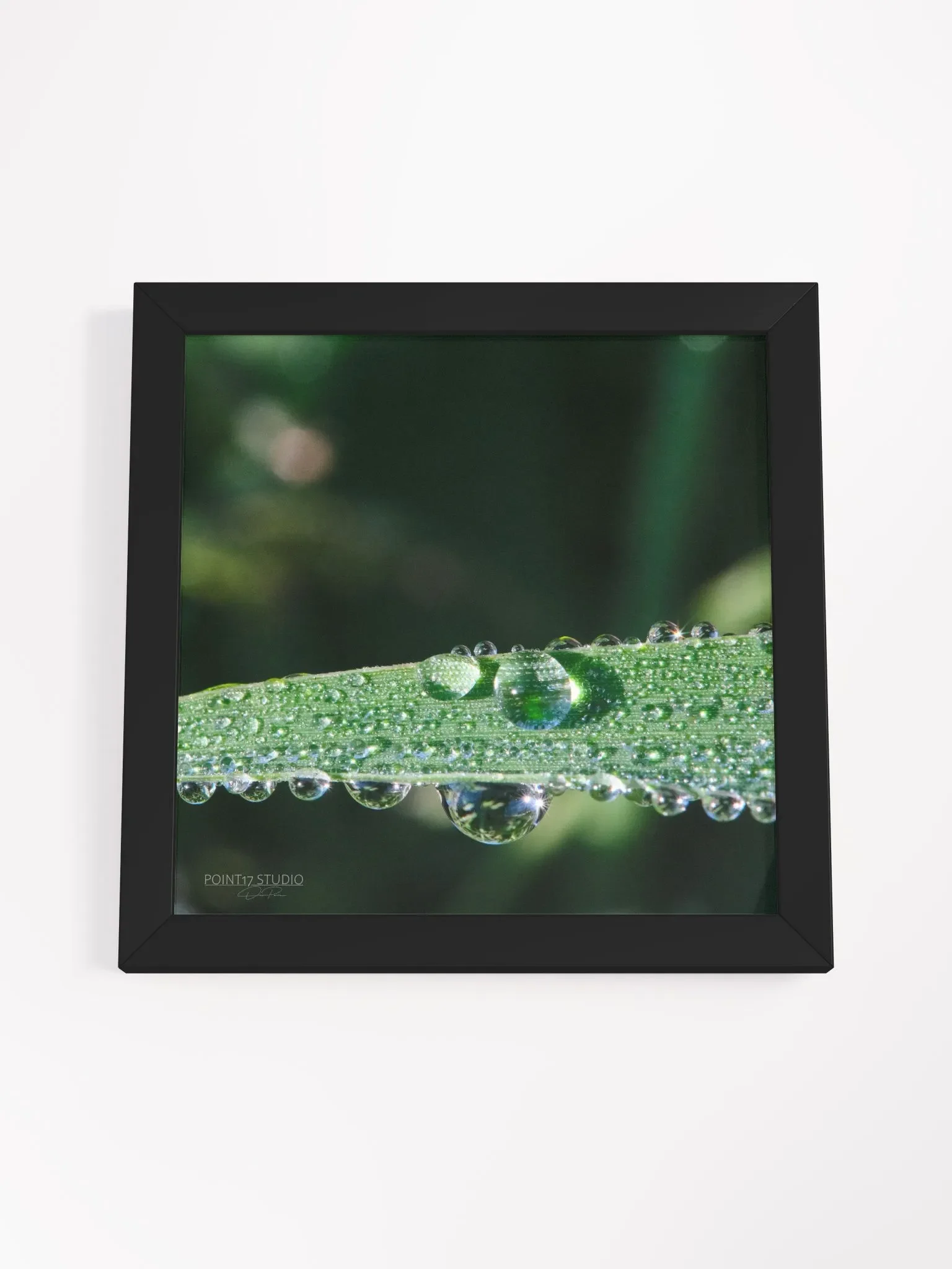 Dew Gems #2 - Framed Print product image (35)