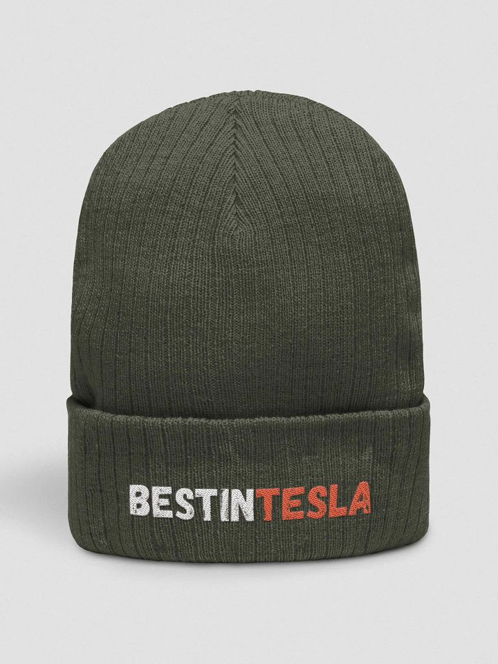 BestInTESLA Atlantis Recycled Cuffed Beanie product image (2)