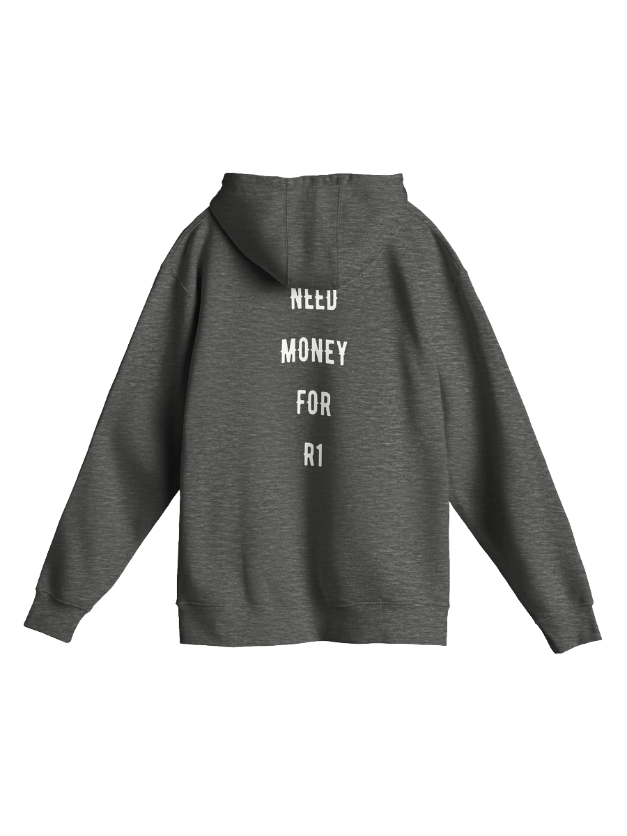 Need money for an r1 | heavy hoodie product image (1)