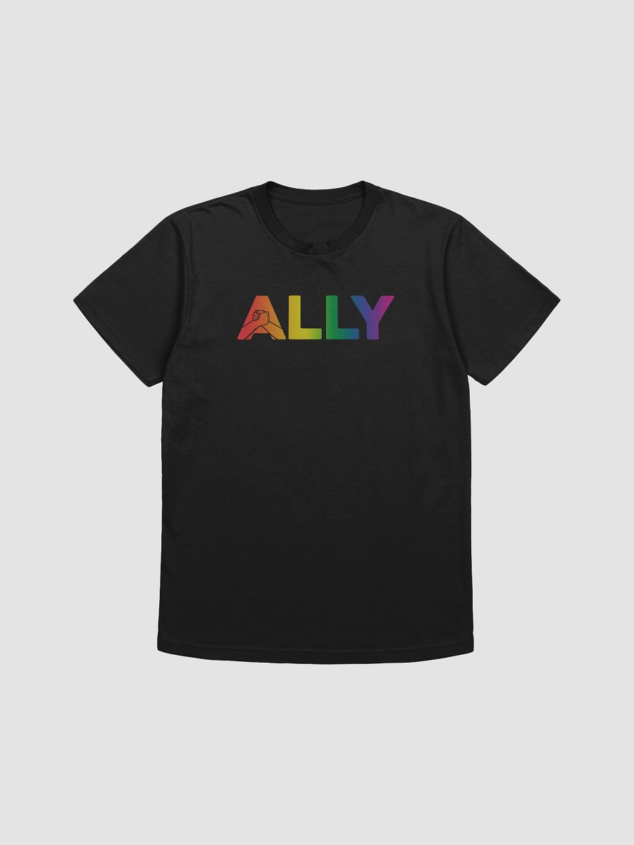 Ally Rainbow Connection Unisex Tee product image (19)
