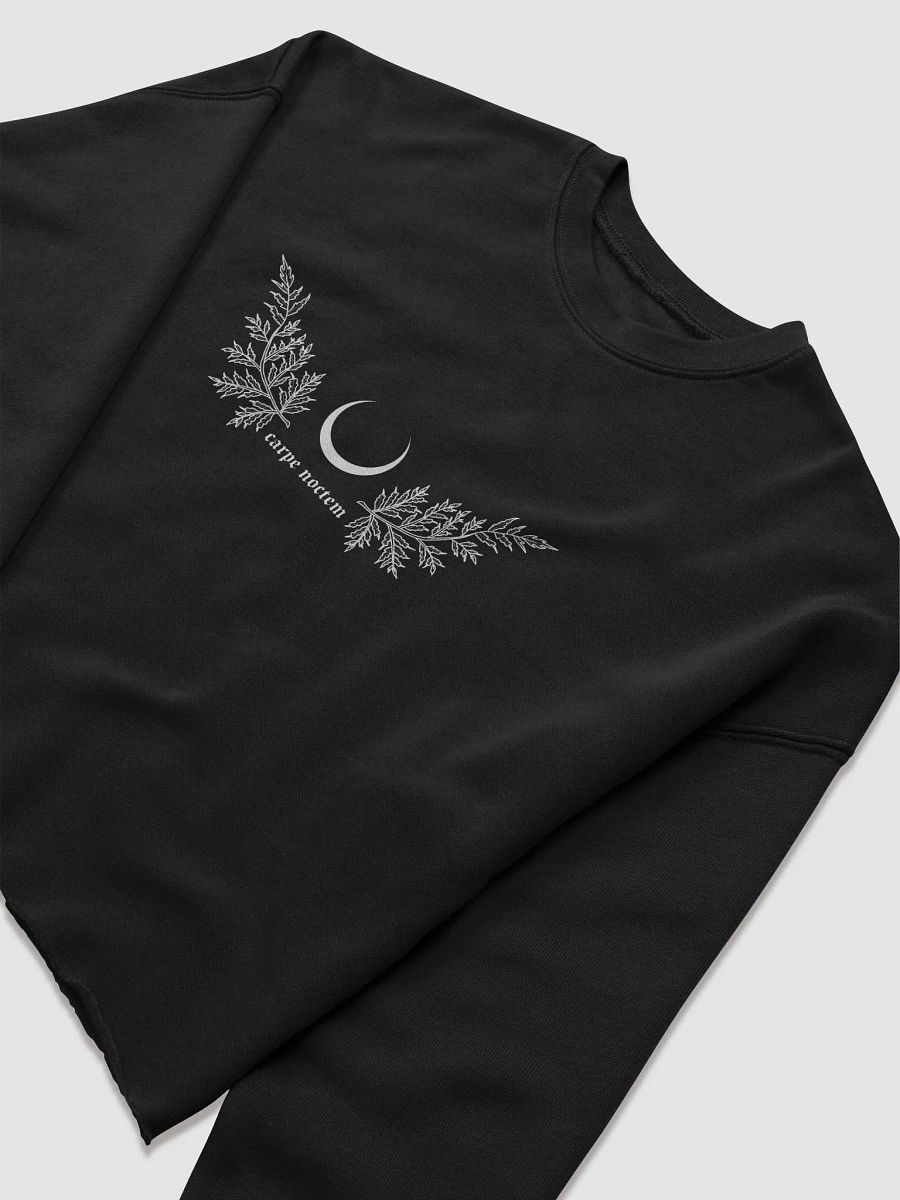 Carpe Noctem Cropped Sweatshirt product image (3)