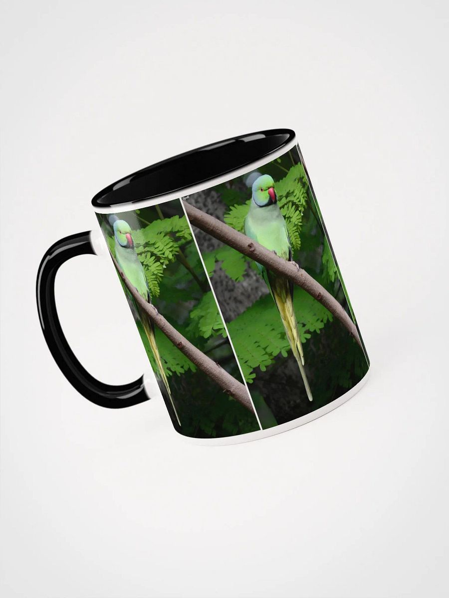 IUCAA Birds MUG product image (3)
