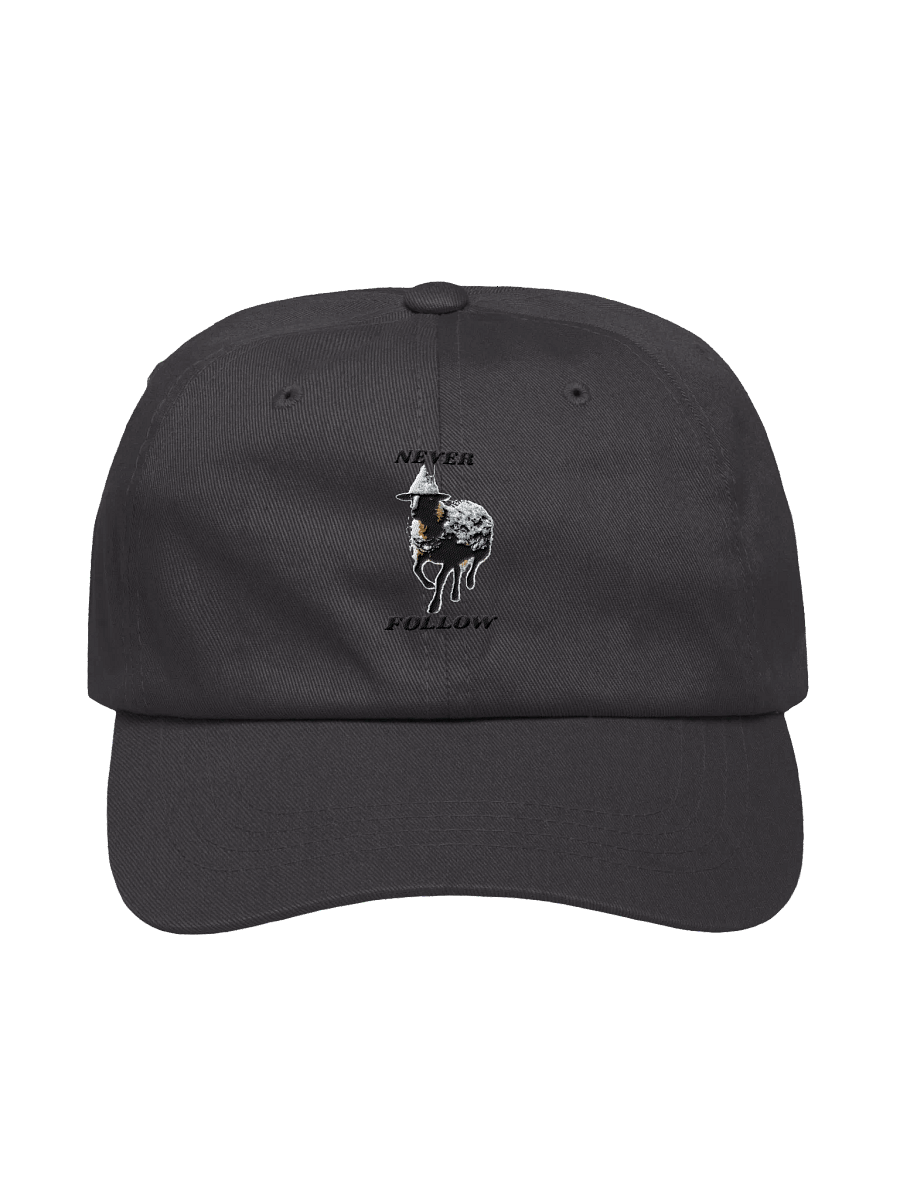 Webs & Shadows Black Sheep Dad Hat product image (1)