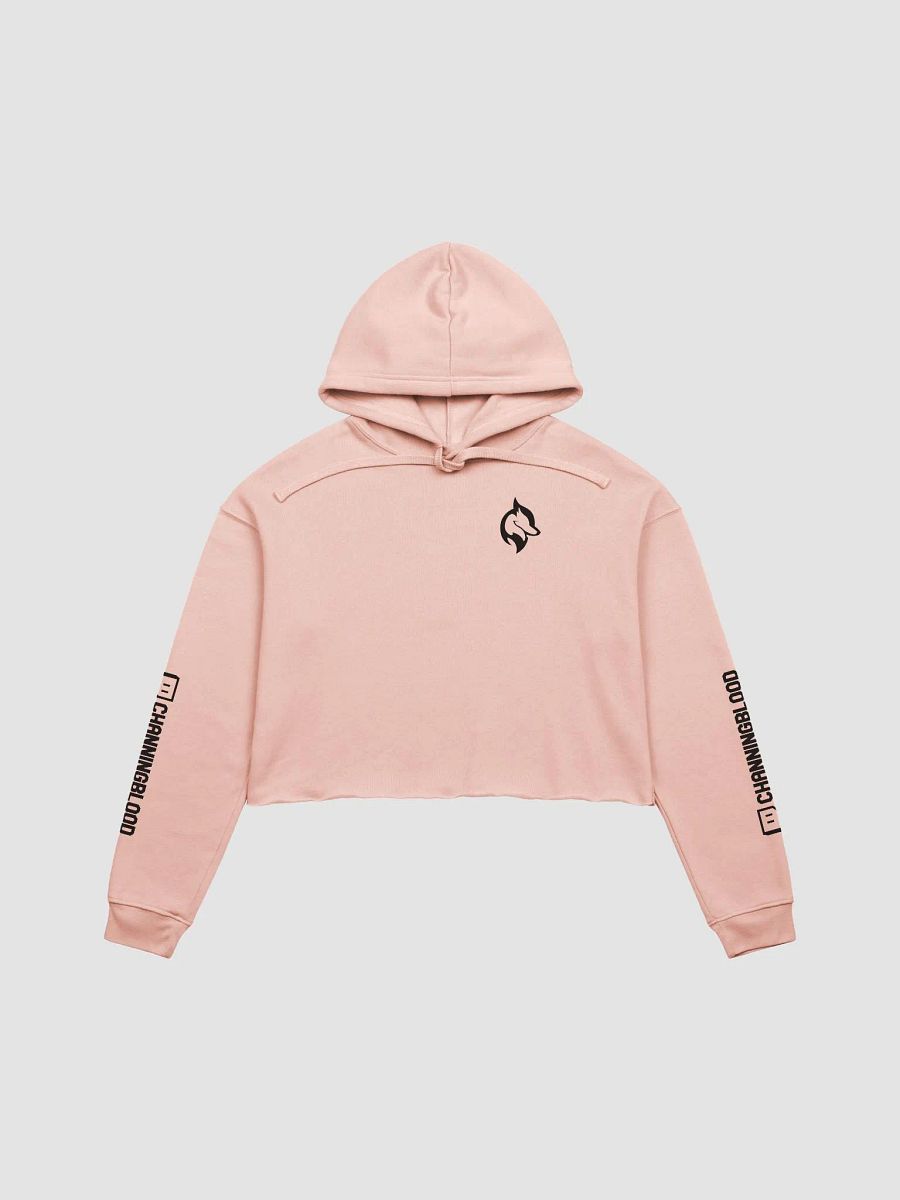 Channing Crop Hoodie product image (1)