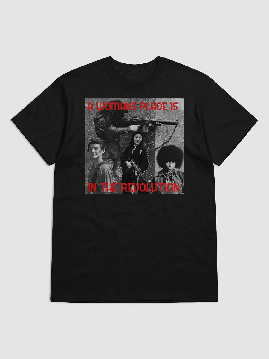 A WOMANS PLACE T-Shirt product image (3)