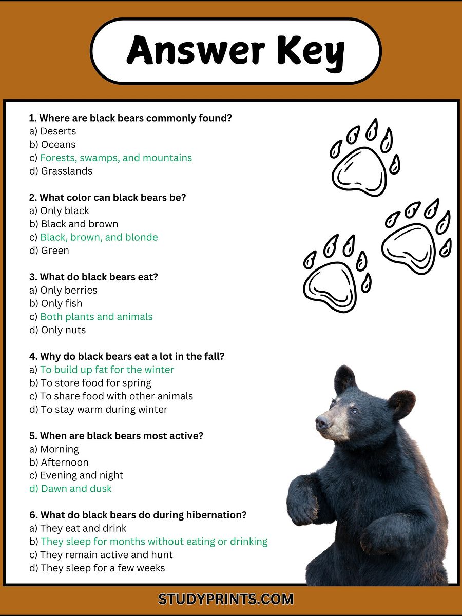 Black Bear Reading Comprehension Passage with 6 Questions product image (4)