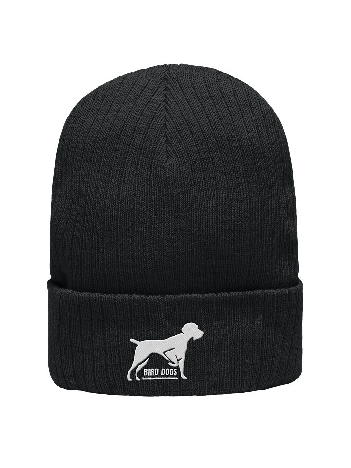Bird Dogs Beanie product image (1)