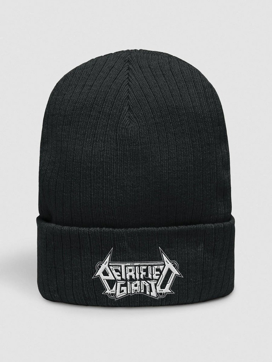 Petrified Giant Beanie product image (1)