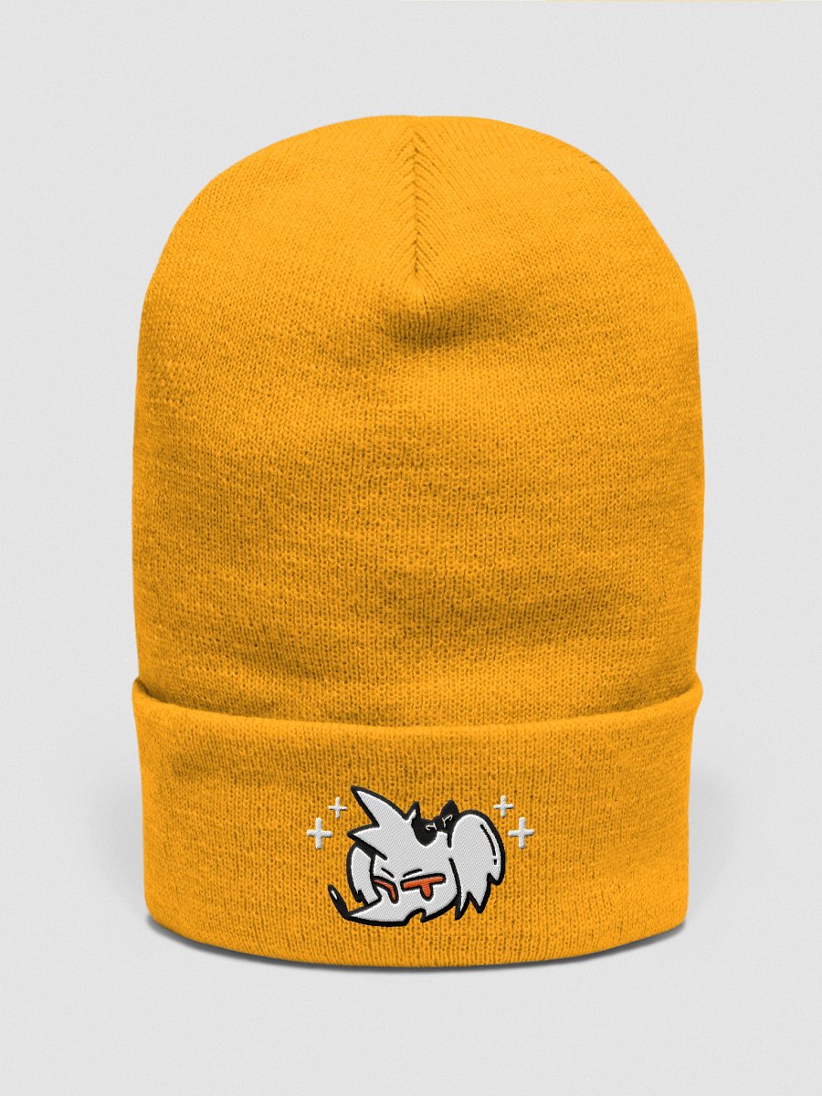 ROBDOG LOGO BEANIE product image (1)