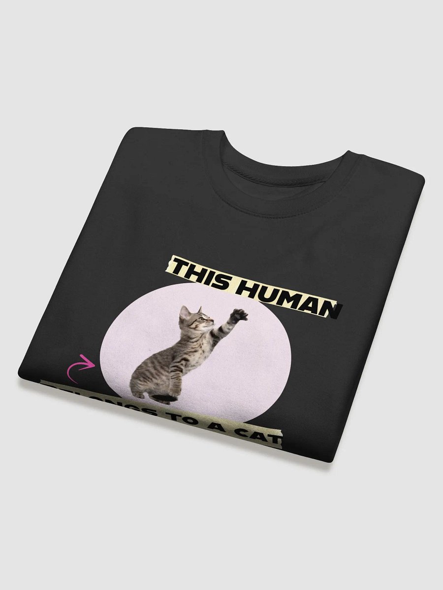 Playful Pet Owner Sweatshirt product image (26)