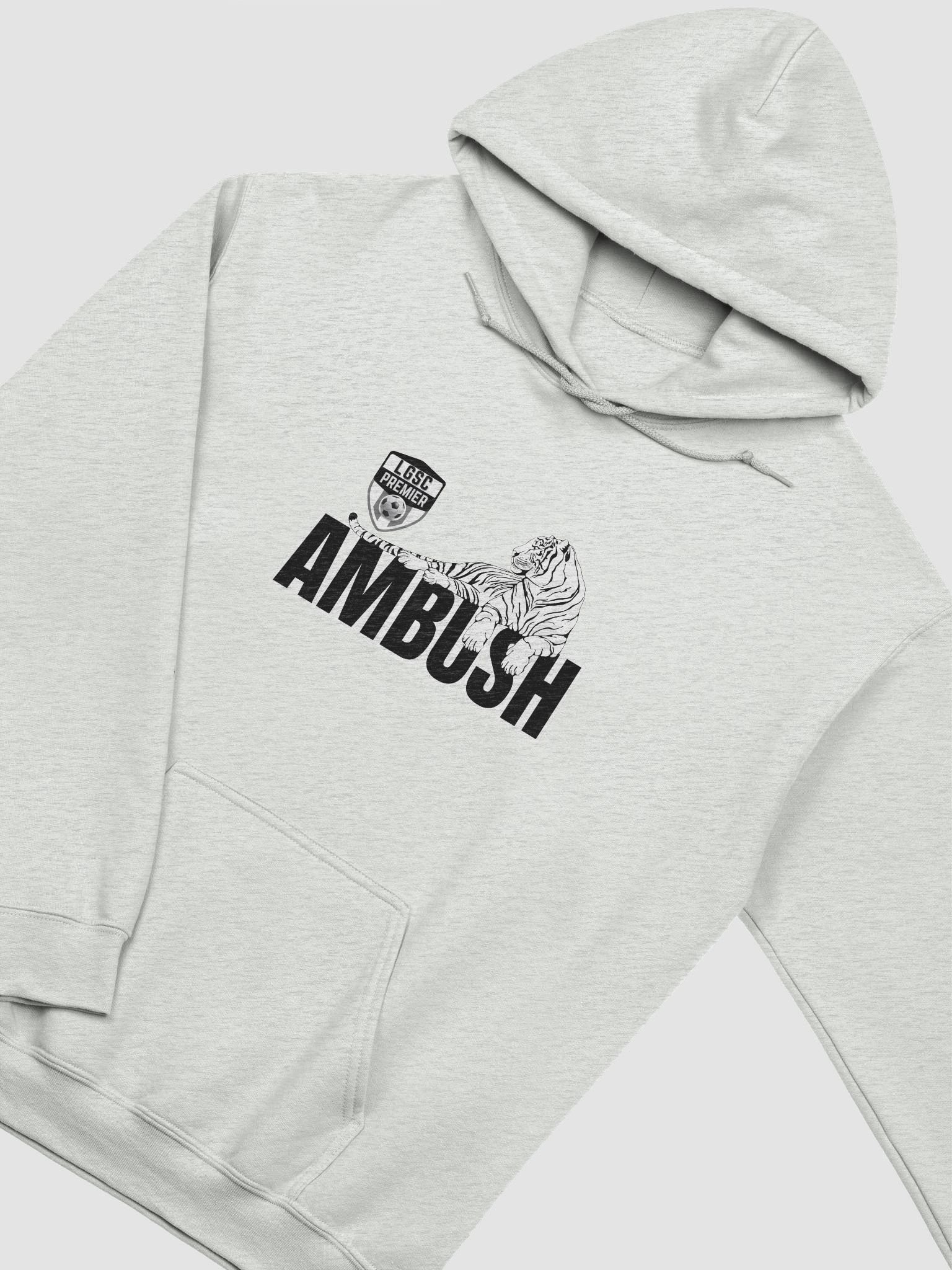 Ambush Tiger Classic Hoodie product image (22)