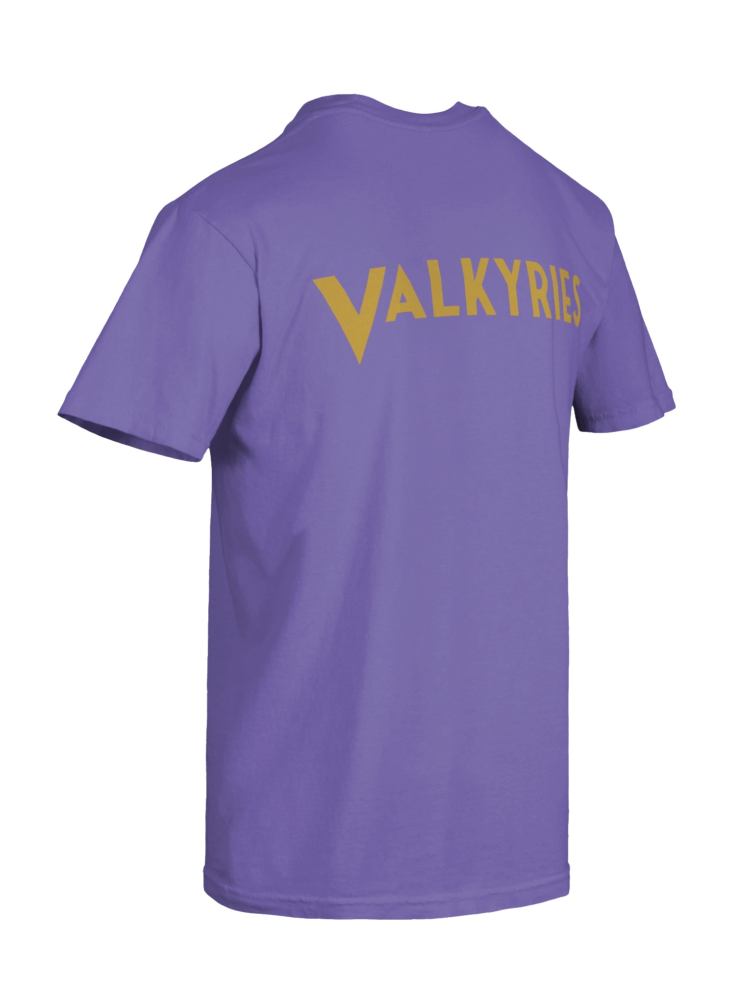 "V" for Valkyries T-Shirt with "V" on Sleeve product image (40)