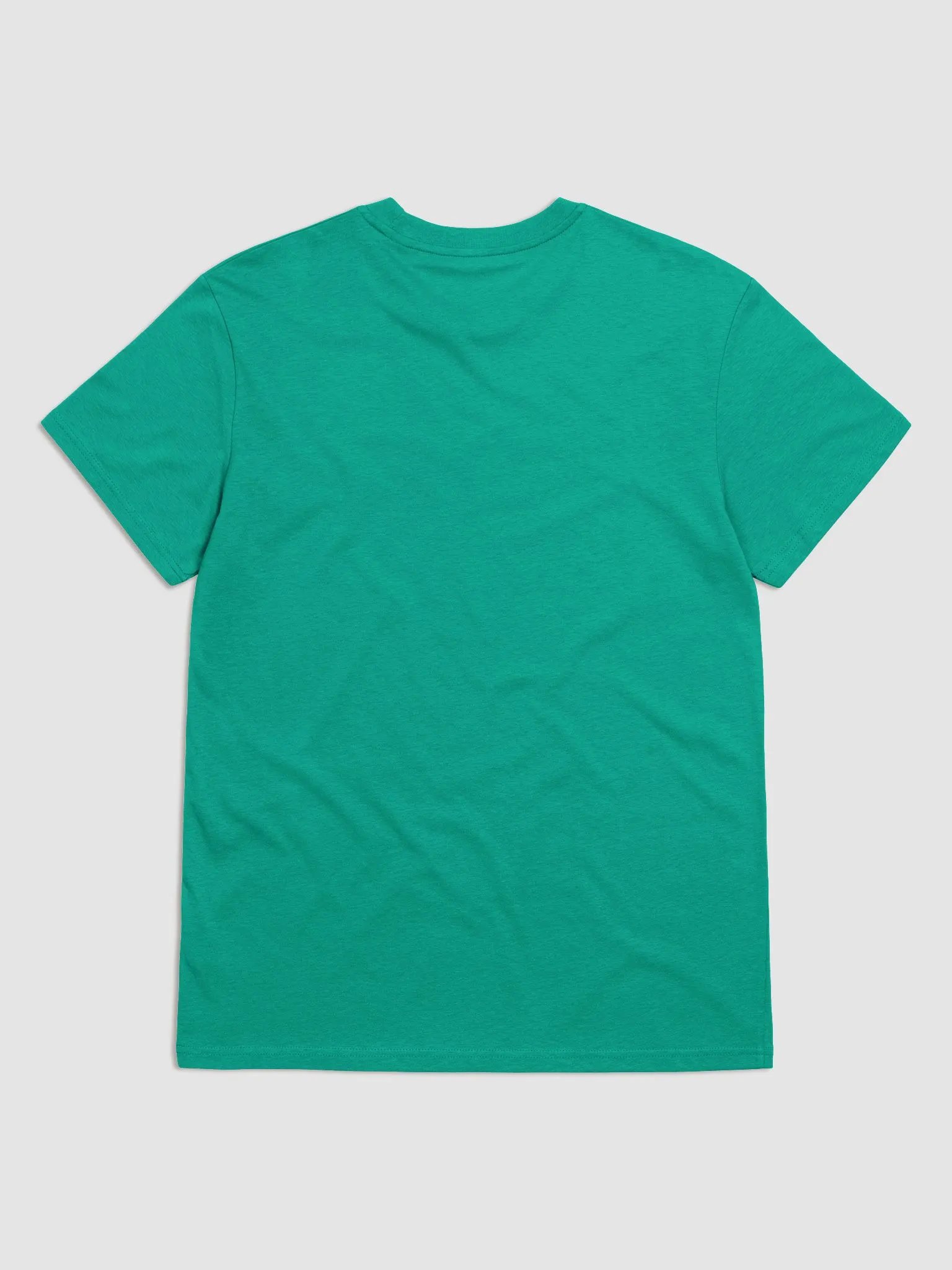 Divided We Fall - Religion - Stanley/Stella Organic Cotton T-Shirt product image (2)