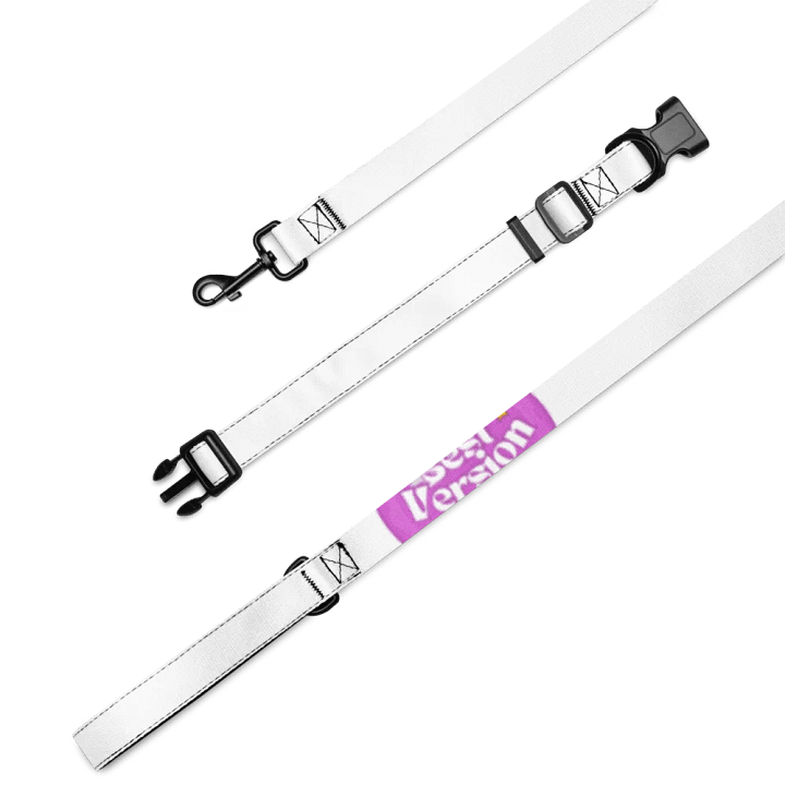 Stellar Pet Collar & Leash Set product image (2)
