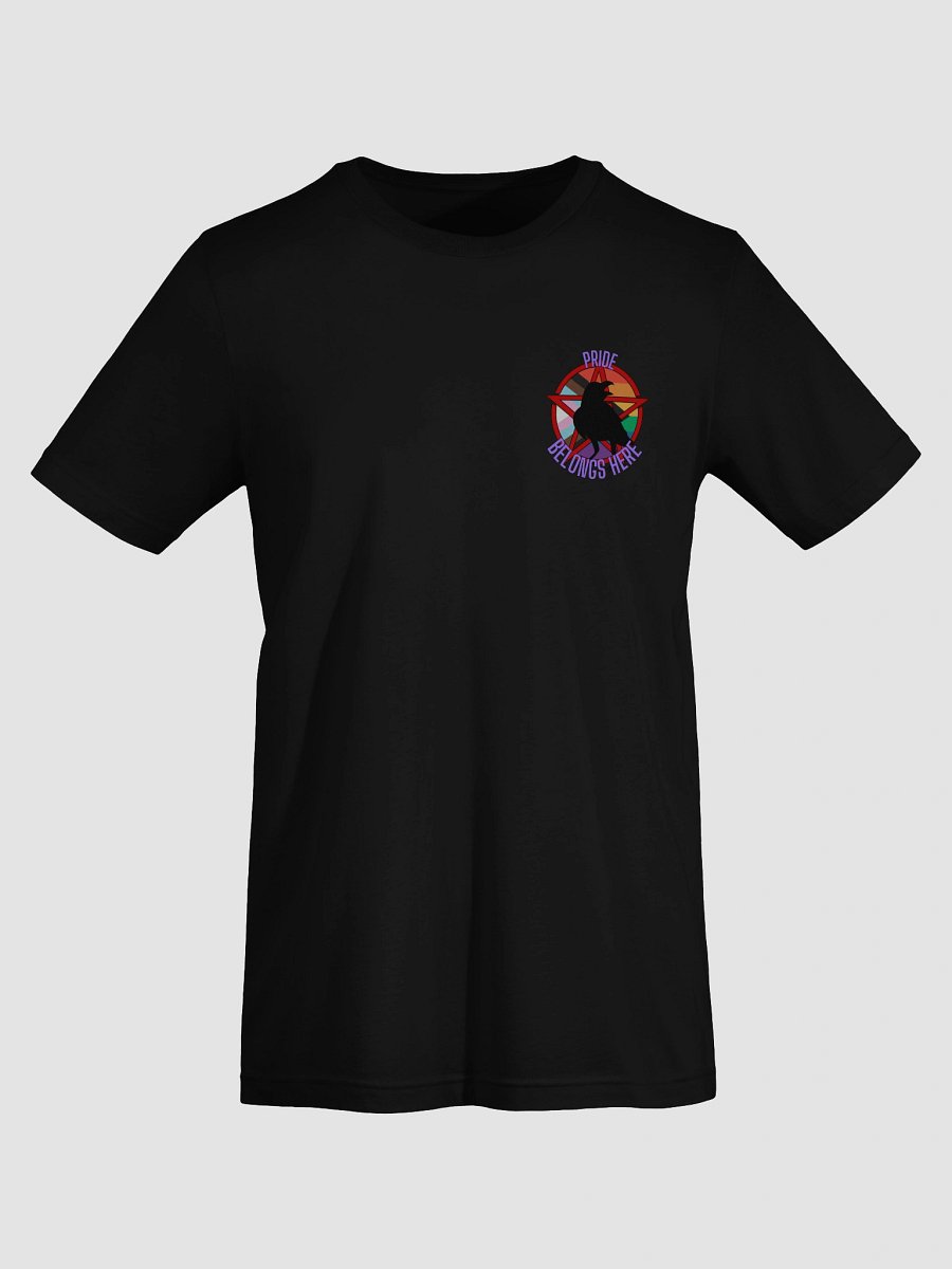 Pride Belongs Here | Shirt #2 product image (7)