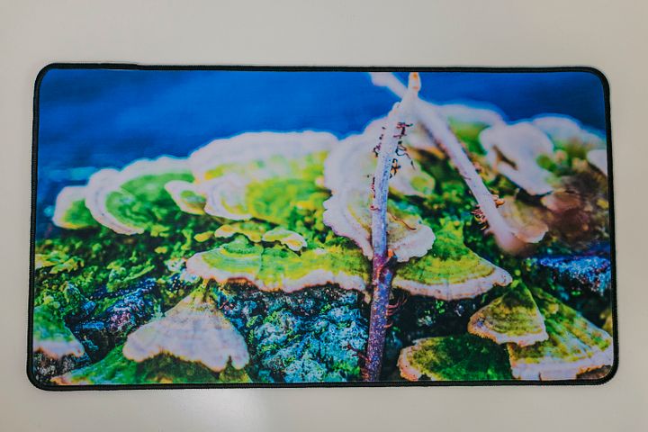 Colorful Log Deskmat product image (1)