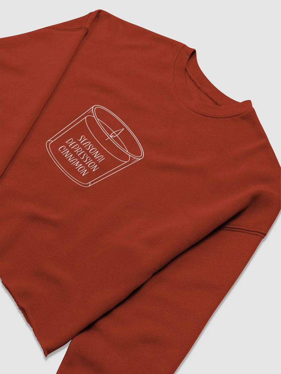 Seasonal Depression Cinnamon Crop Crew Neck product image (7)
