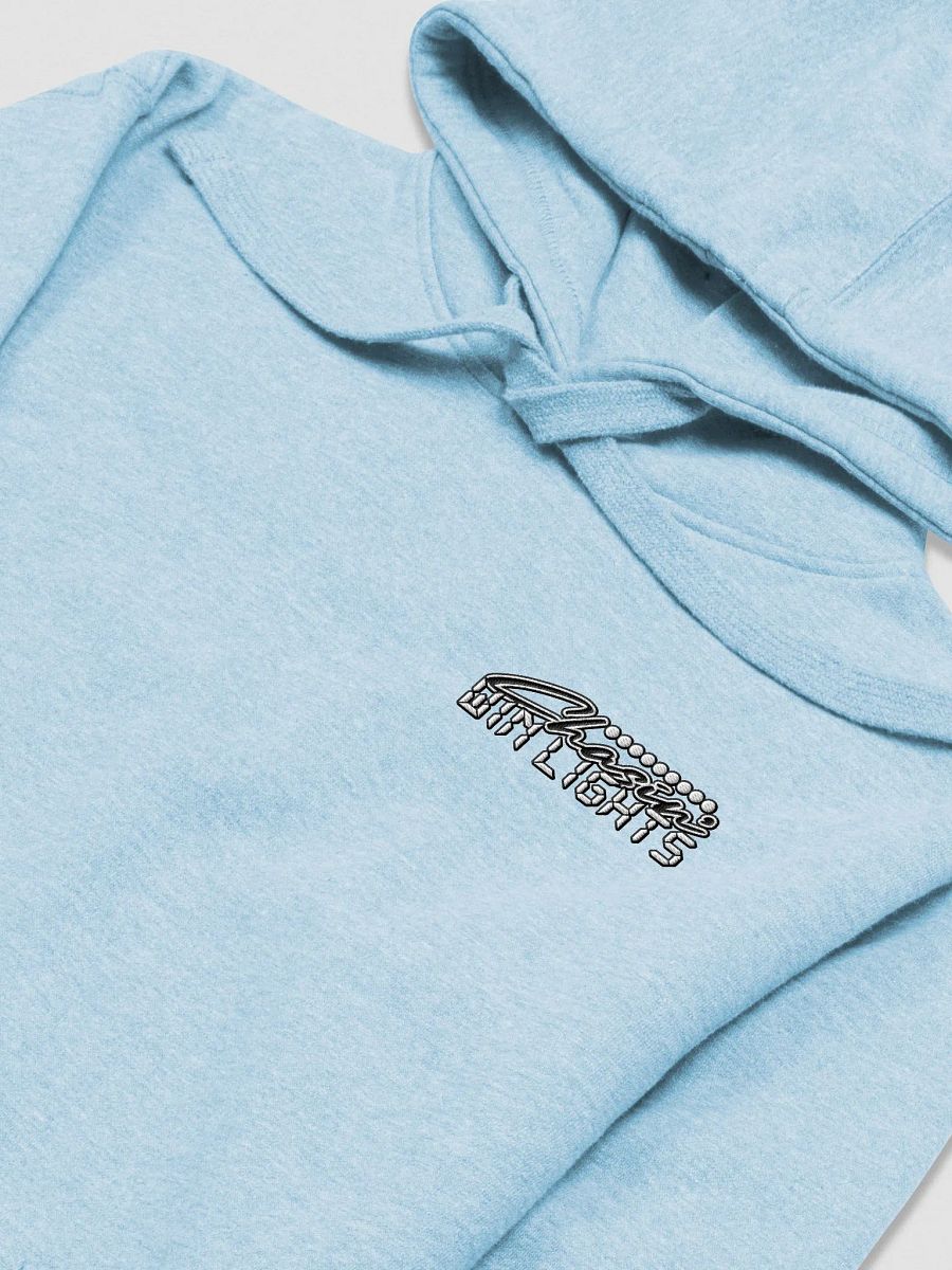 Chasing Win Lights - Embroidered Hoodie product image (37)