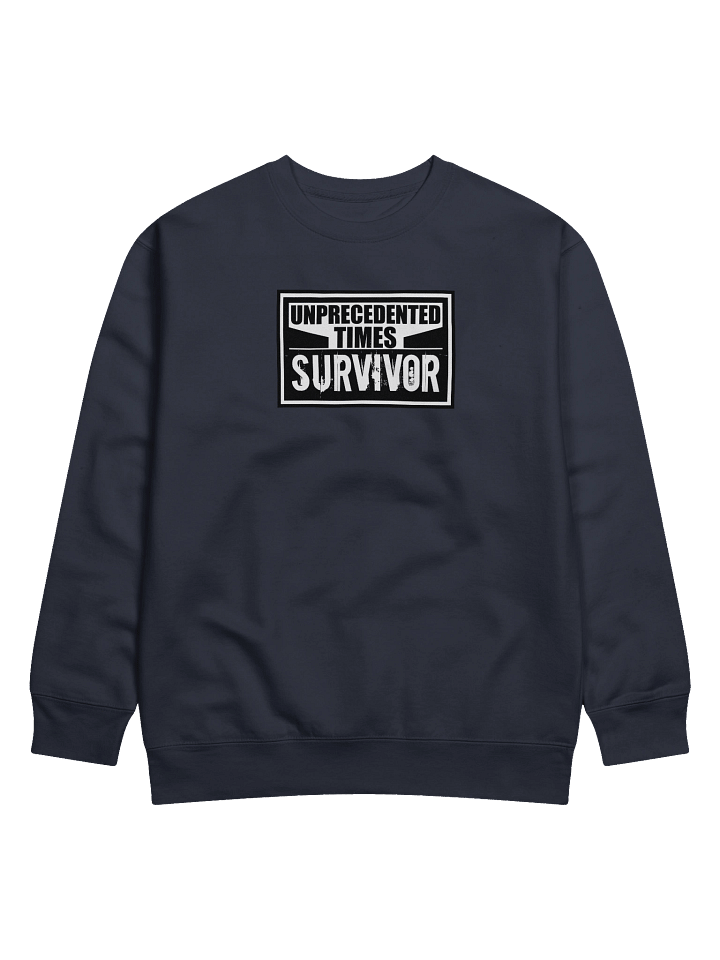 Unprecedented Times - Pullover product image (1)