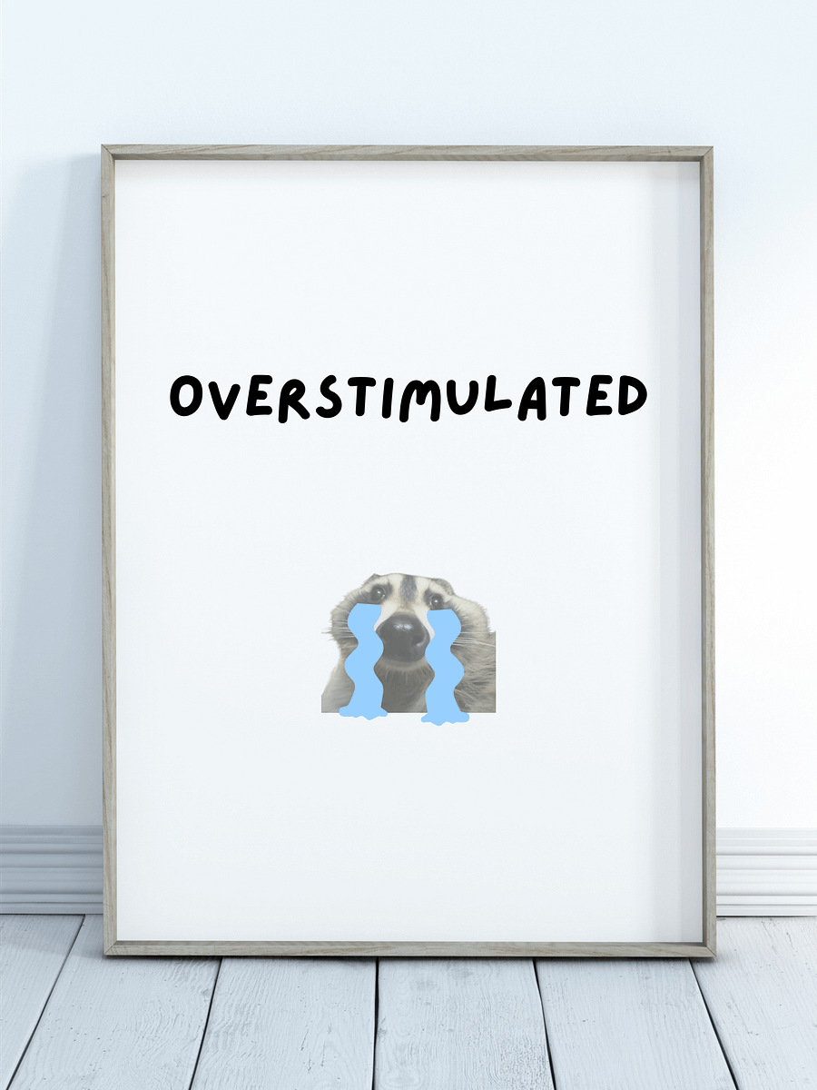 Overstimulated - Raccoon Poster product image (1)