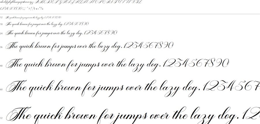 Aleycha | Calligraphy Typeface product image (2)