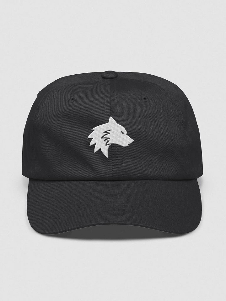 ENDxLINE Logo Hat product image (1)