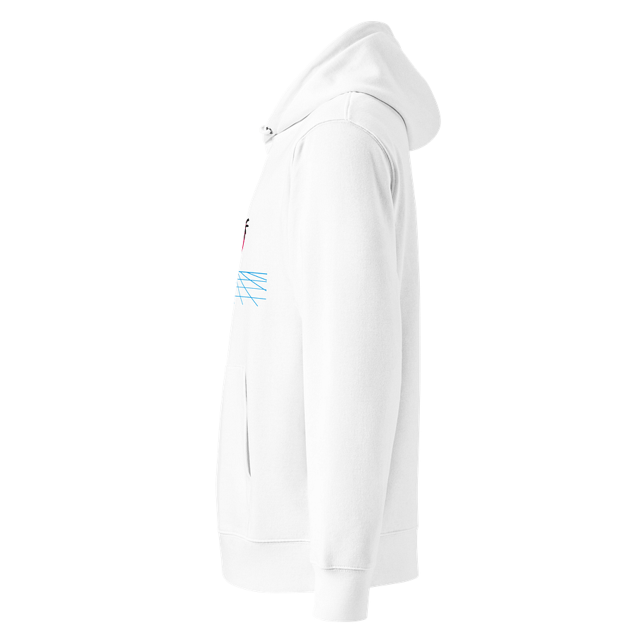 Retro Sunset Vibes Organic Hoodie product image (3)