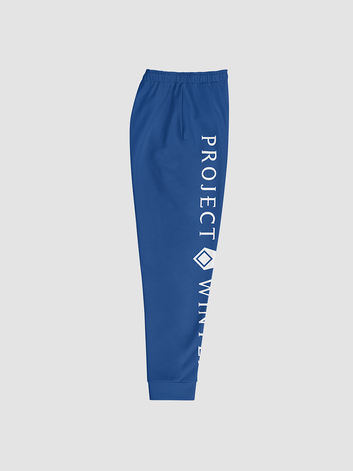 Project Winter Men's Joggers (Blue) product image (2)