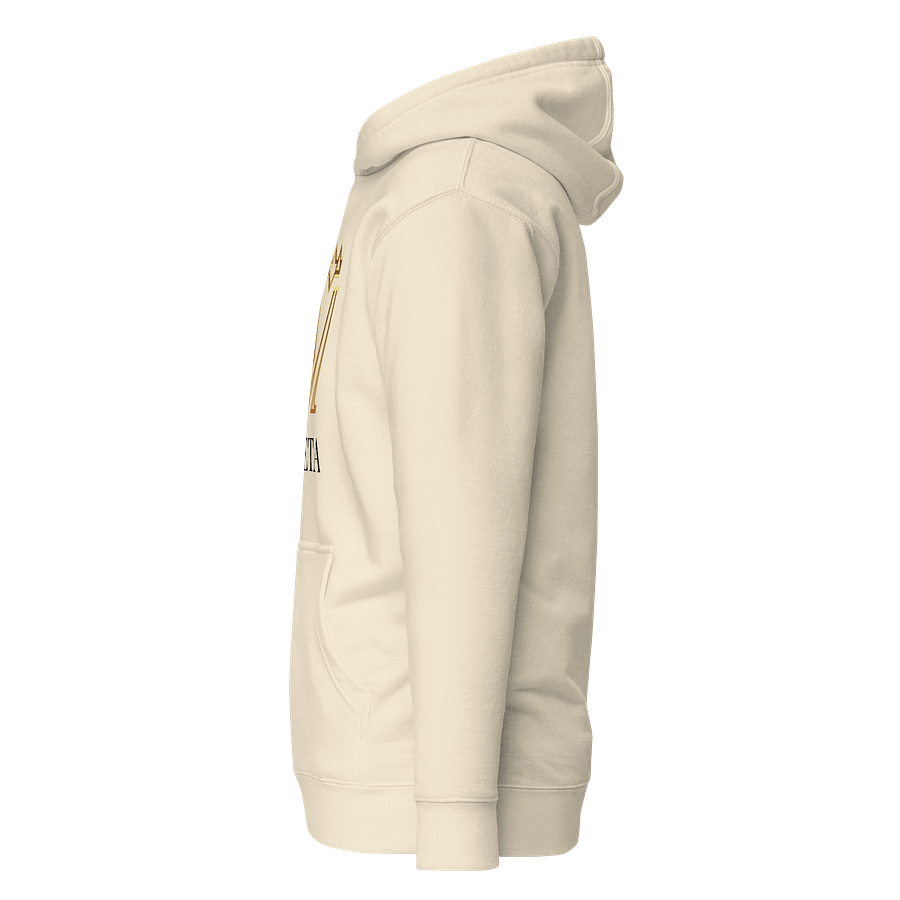 VETA Luxury Hoodie product image (28)