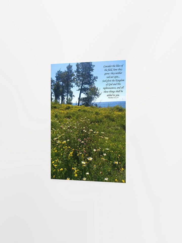 Consider the lilies - Print product image (5)