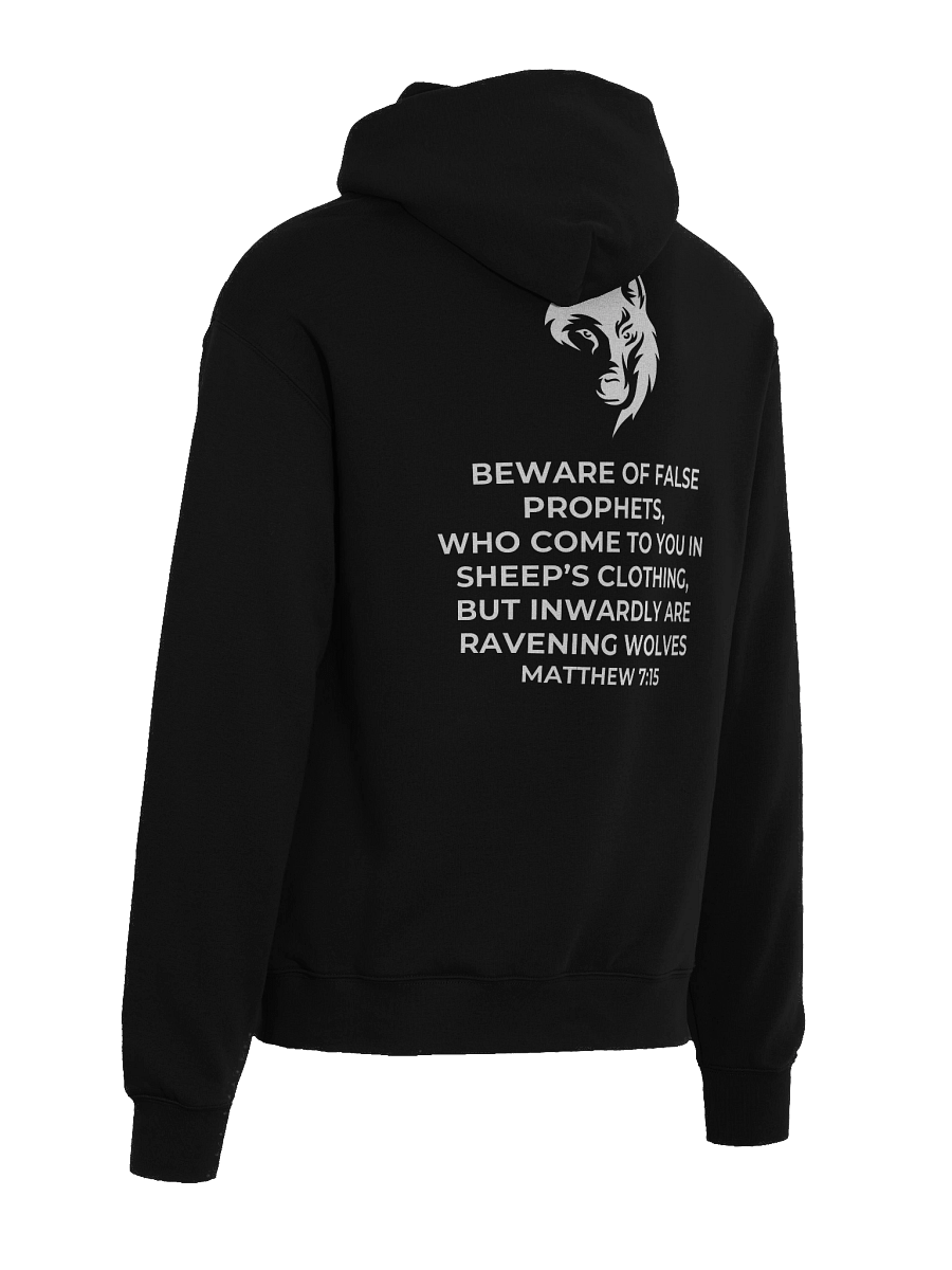 Matthew 7:15 Eclipse Oversized Hoodie product image (22)