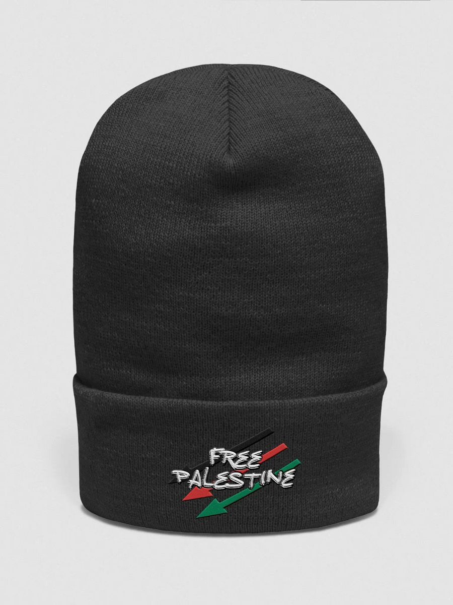 Free Palestine beanie product image (4)