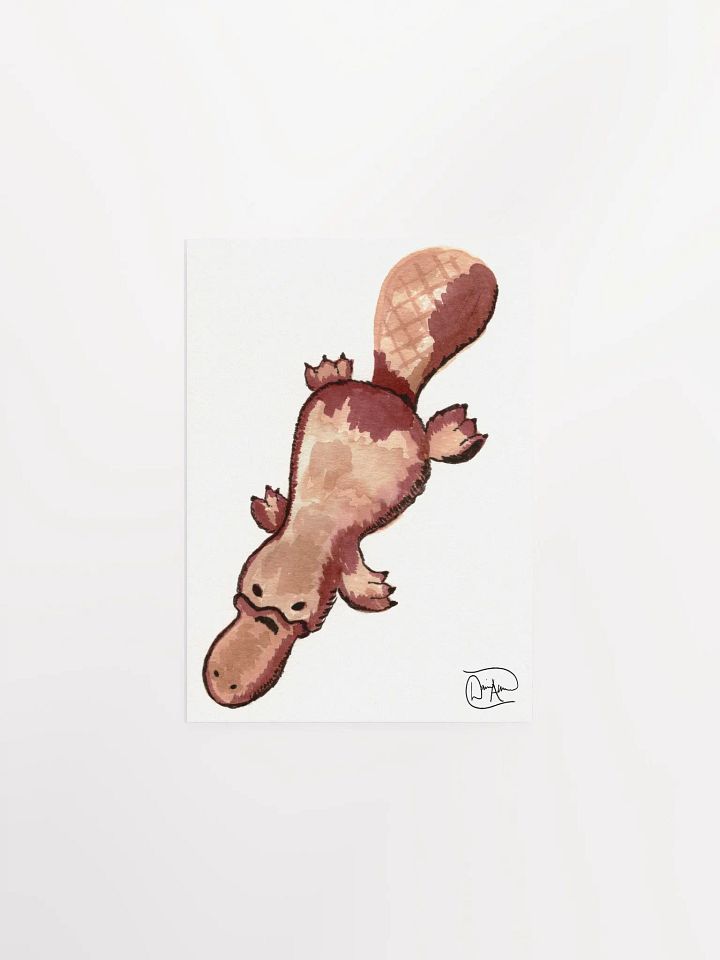 Platypus #66768 Watercolour Print product image (1)