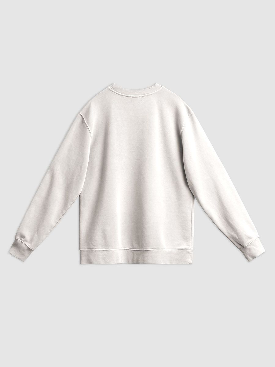 Bubbly and a B*tch (sm. lined design, #BDCAEF) printed pigment crewneck product image (12)