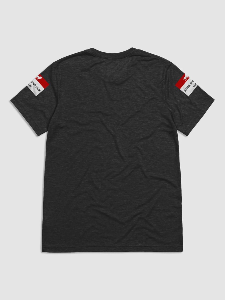 Lioness Spirit Triblend Tee product image (16)
