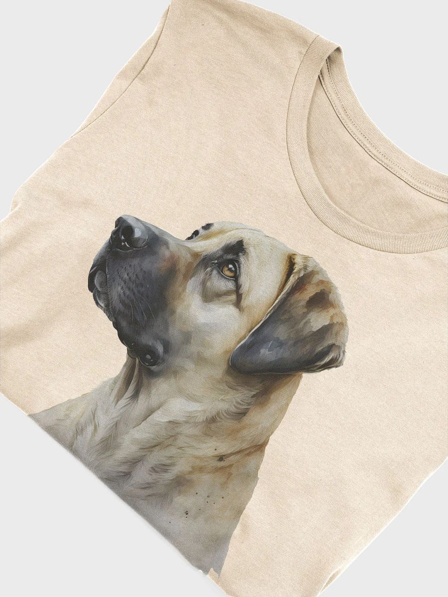 Anatolian Shepherd product image (3)