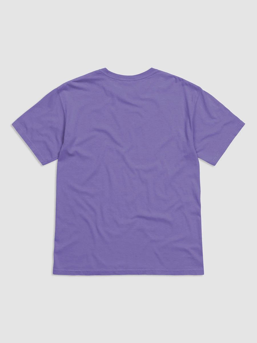 Denali National Park, Alaska Tee | Retro-Style Western T-Shirt for Travel and Road Trips product image (47)