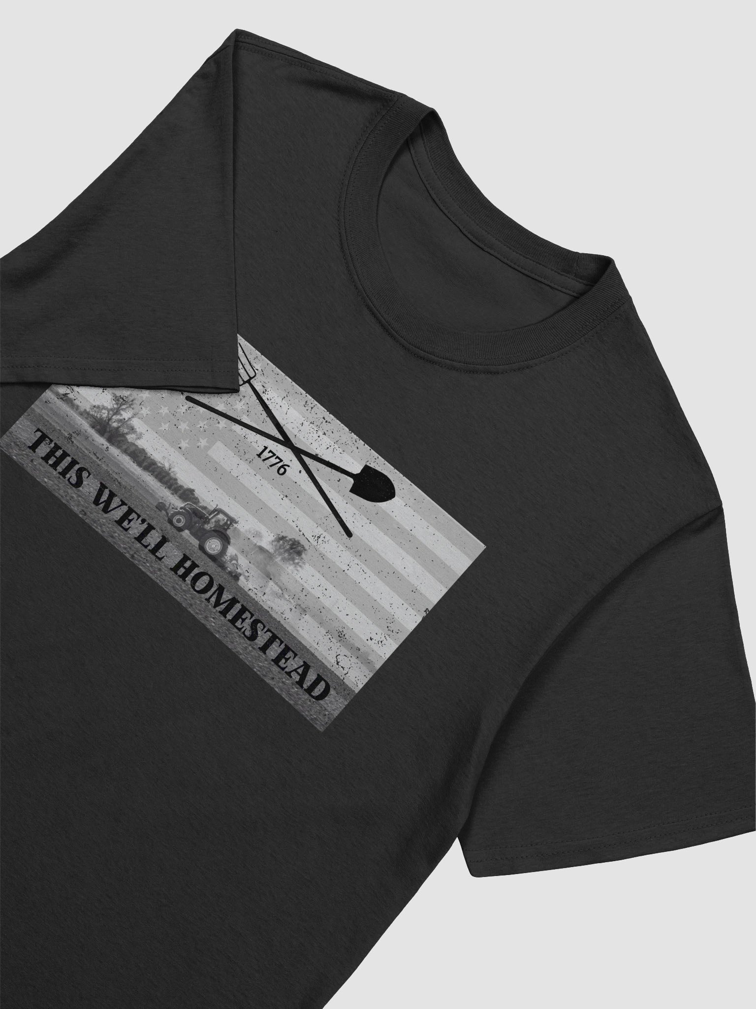 This We'll Homestead Tee product image (99)