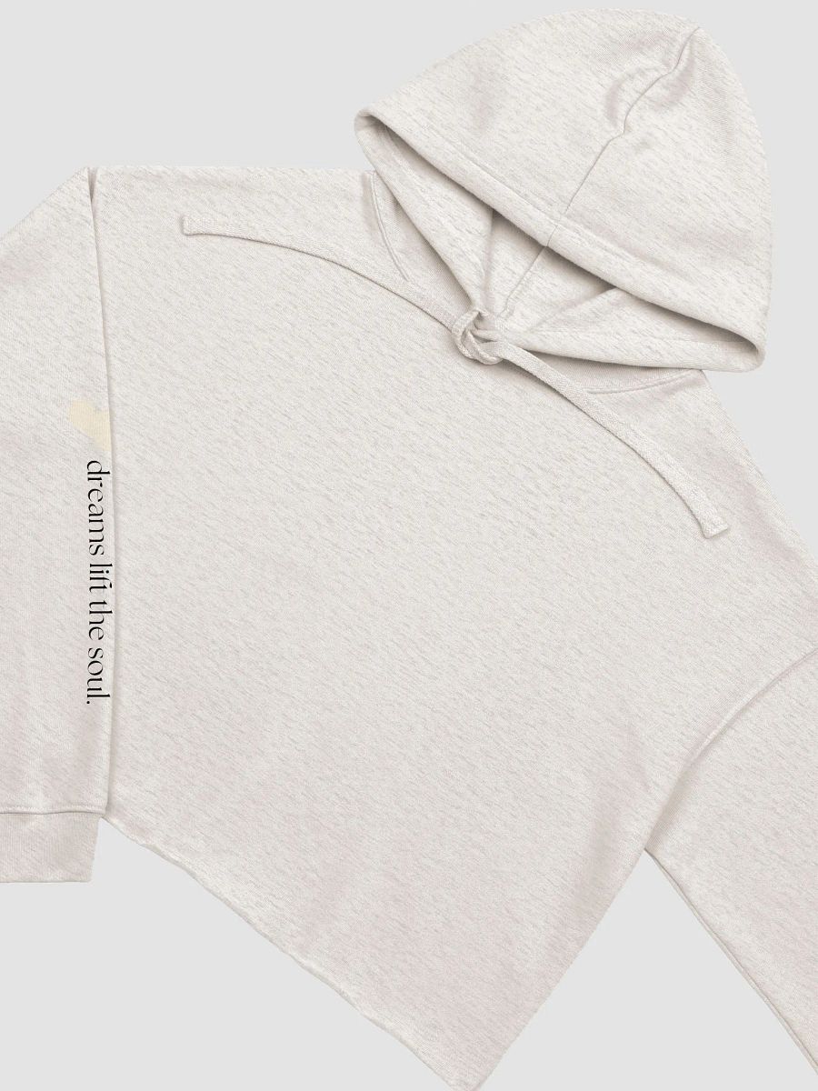 Ethereal Wings Crop Hoodie product image (11)