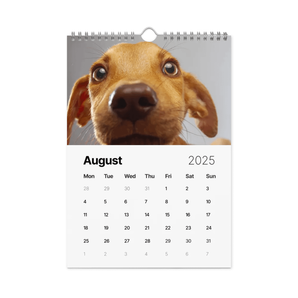 The first year - 2025 Calendar product image (9)