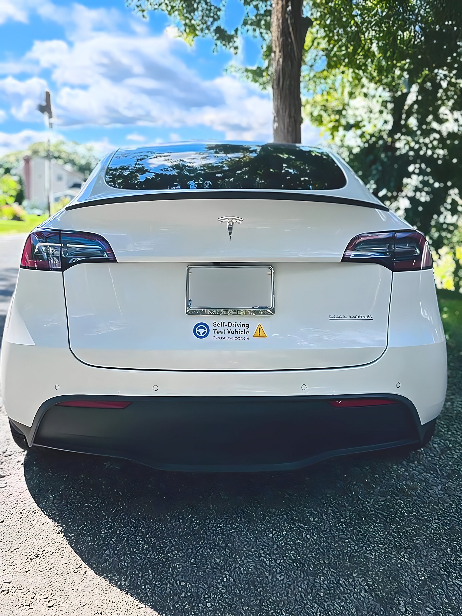 FSD Supervised Bumper magnet product image (2)