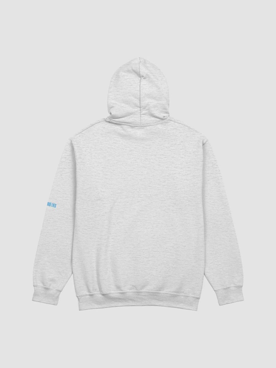 Steve Hoodie product image (2)