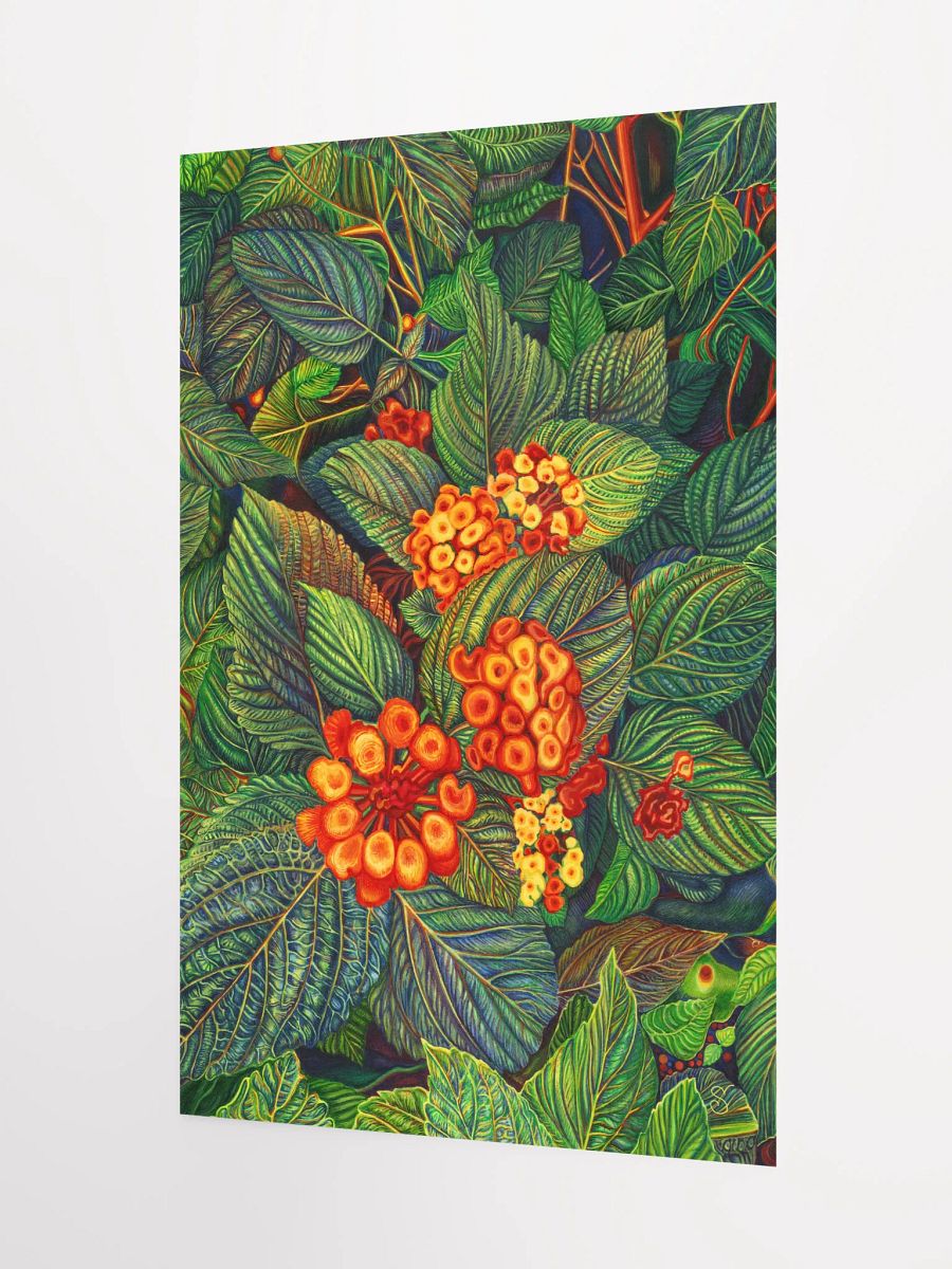 Vibrant Matte Poster Print - Bright Orange Flowers product image (3)