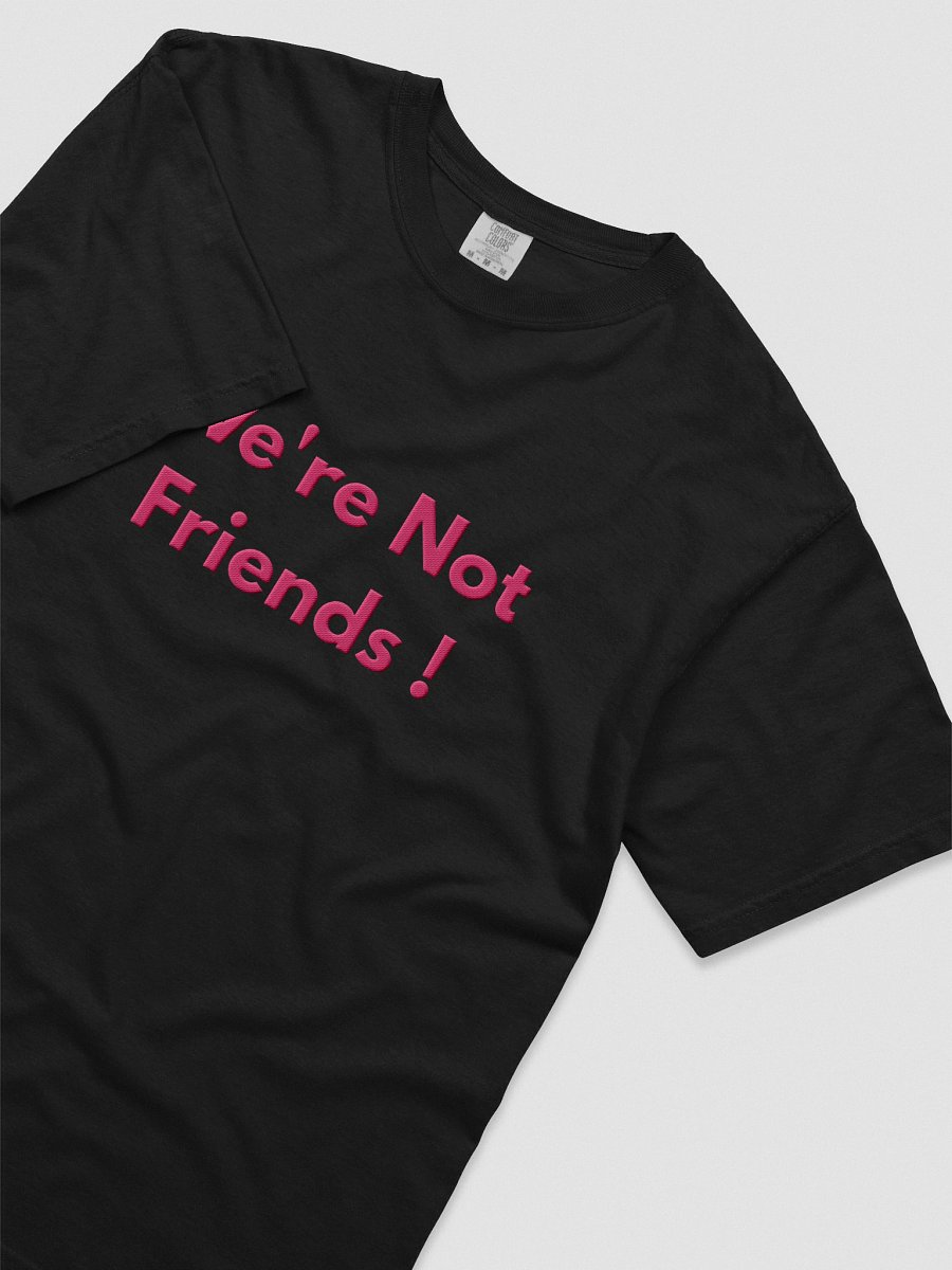 'We're Not Friends!' Tee product image (19)