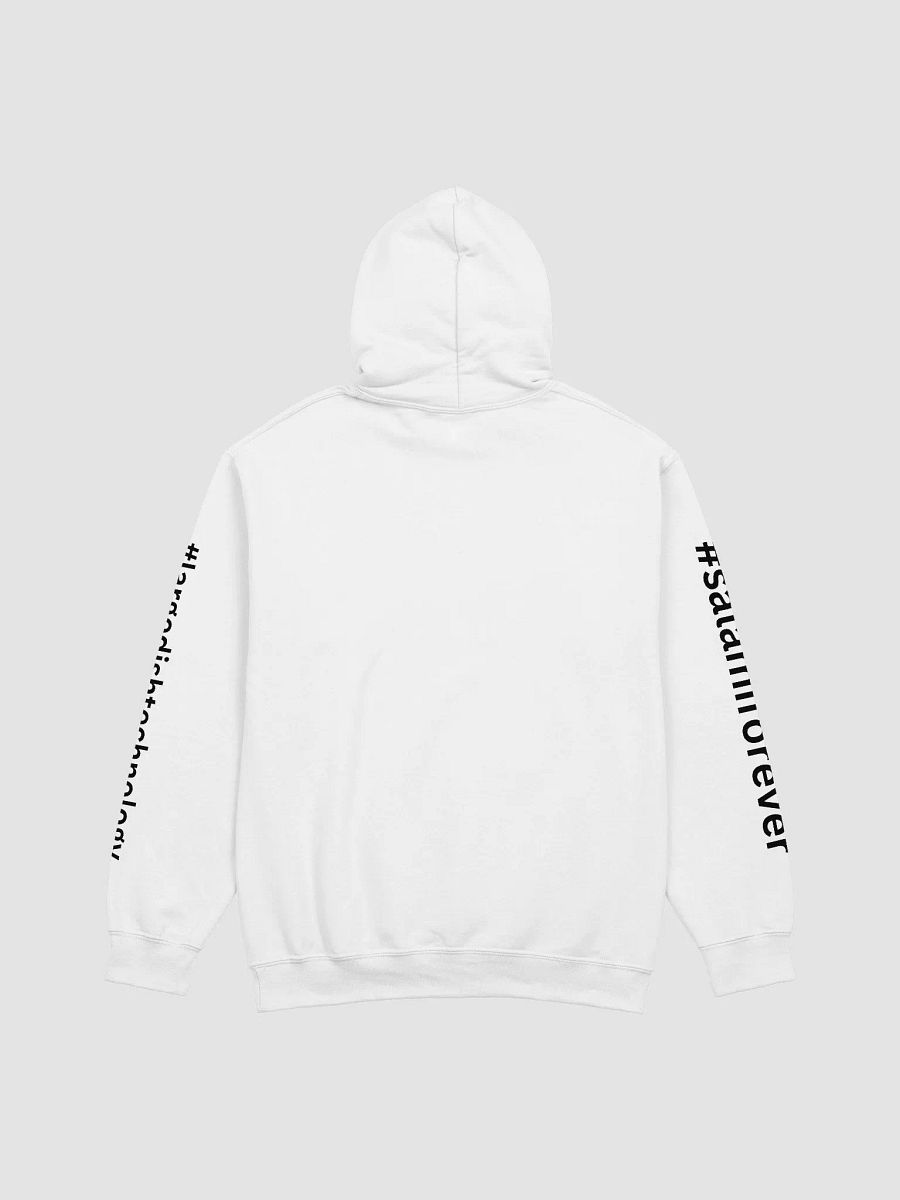 C&Q Hoodie with Sleeve Prints product image (3)